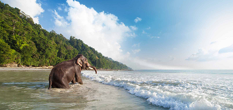 Incredible Andaman